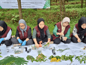 Read more about the article Eksplorasi tumbuhan yang berkhasiat untuk obat, di Bandung, 2023