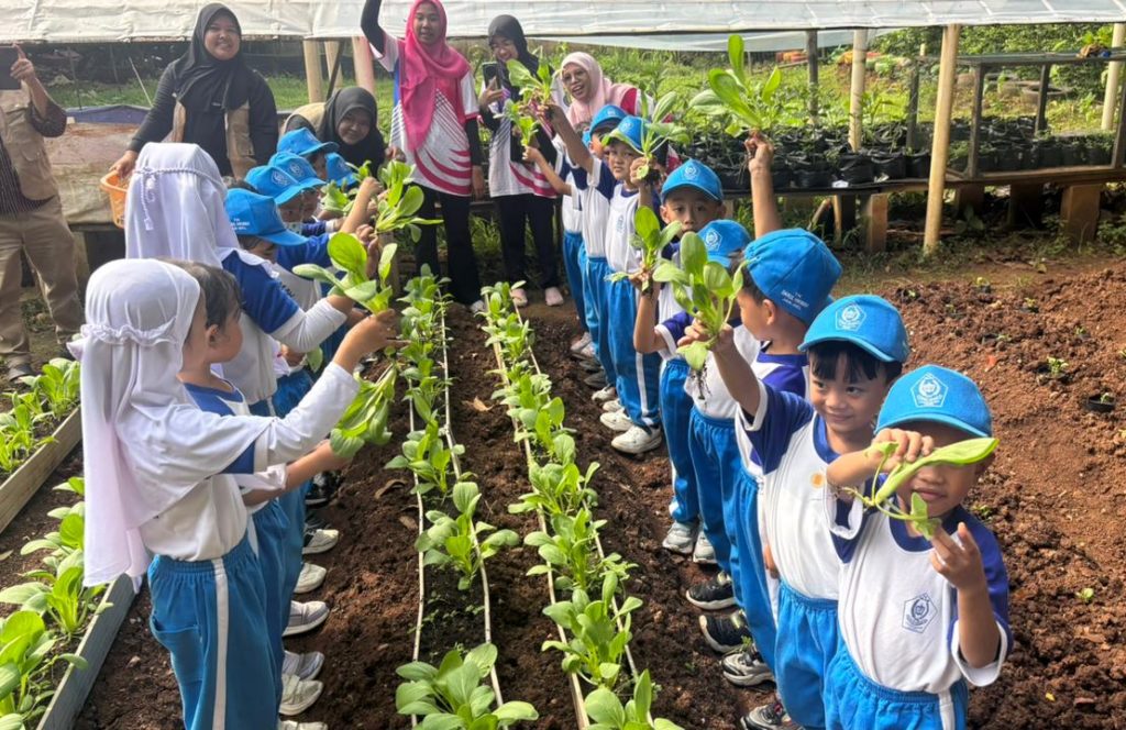 EDUKASI LINGKUNGAN SEJAK DINI BERBASIS PERTANIAN BERSAMA TK DARUL HIKMAH