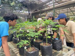 13-06-24 Prak. Budidaya Tanaman Buah-Buahan (1) (1)