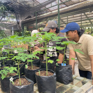 13-06-24 Prak. Budidaya Tanaman Buah-Buahan (1) (1)