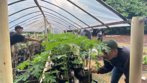 30-06-24 Prak. Budidaya Tanaman Buah-Buahan (2)