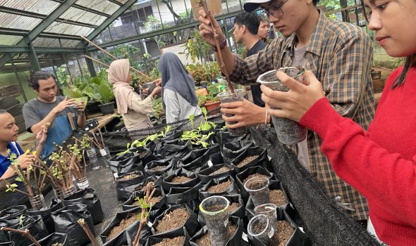 06-07-24 Prak. Budidaya Tanaman Buah-Buahan (2)