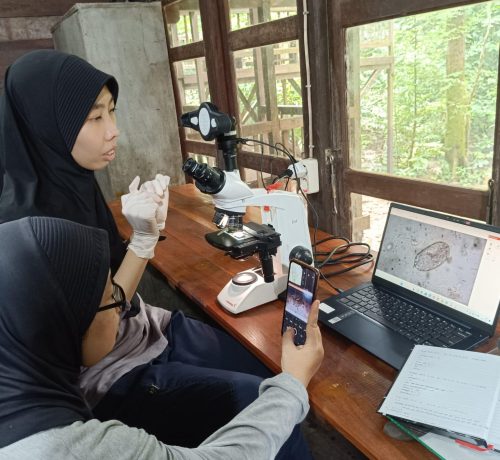 2. Ishma shows Ibu Astri how to check for parasites in orangutan feces.