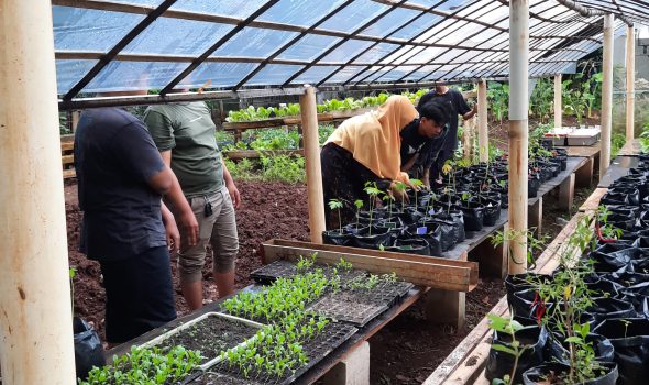 24-04-25 Prak. Budidaya Tanaman Buah-Buahan (1)