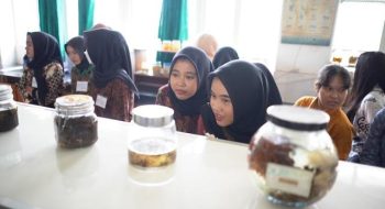 C0478T01 Large Medium