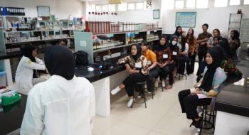 DSC07108 Large Medium