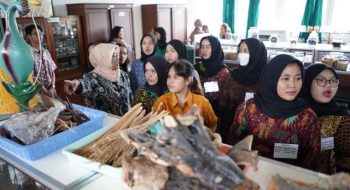 DSC07160 Large Medium