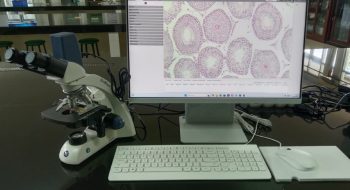 Mikroskop Lab Mikro 2