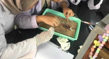 WhatsApp Image 2024-11-26 at 17.05.54