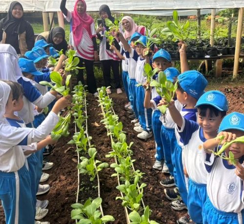 WhatsApp Image 2025-12-10 at 12.45.20