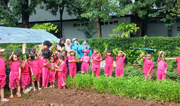Praktik Panen Dilakukan Di Kebun Percobaan