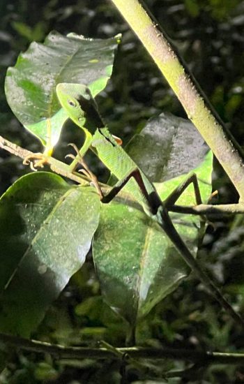 WhatsApp-Image-2026-04-28-at-06.30.42-3-768x1024