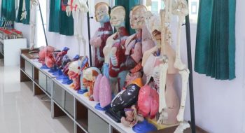 Zoologi_Preparat tengkorak dan herbarium basah